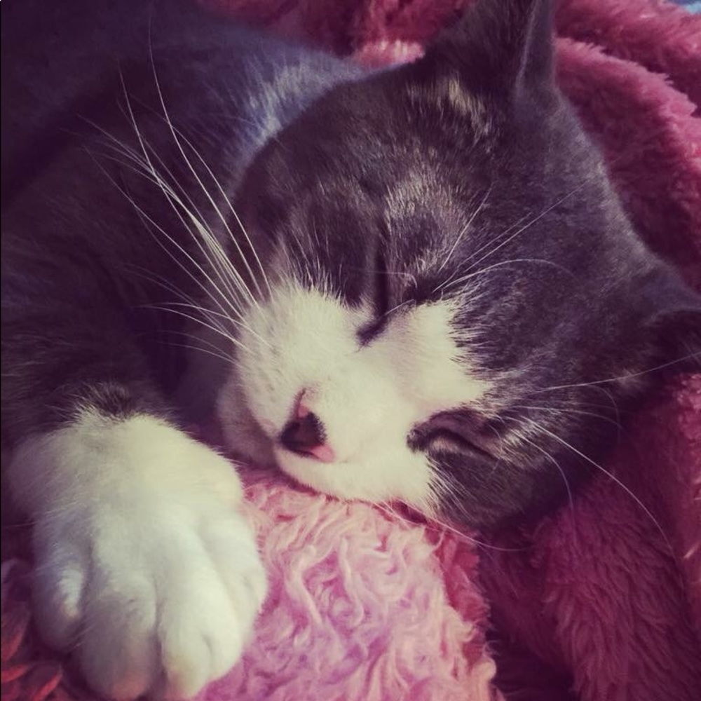 Meet your Posher, Jenny